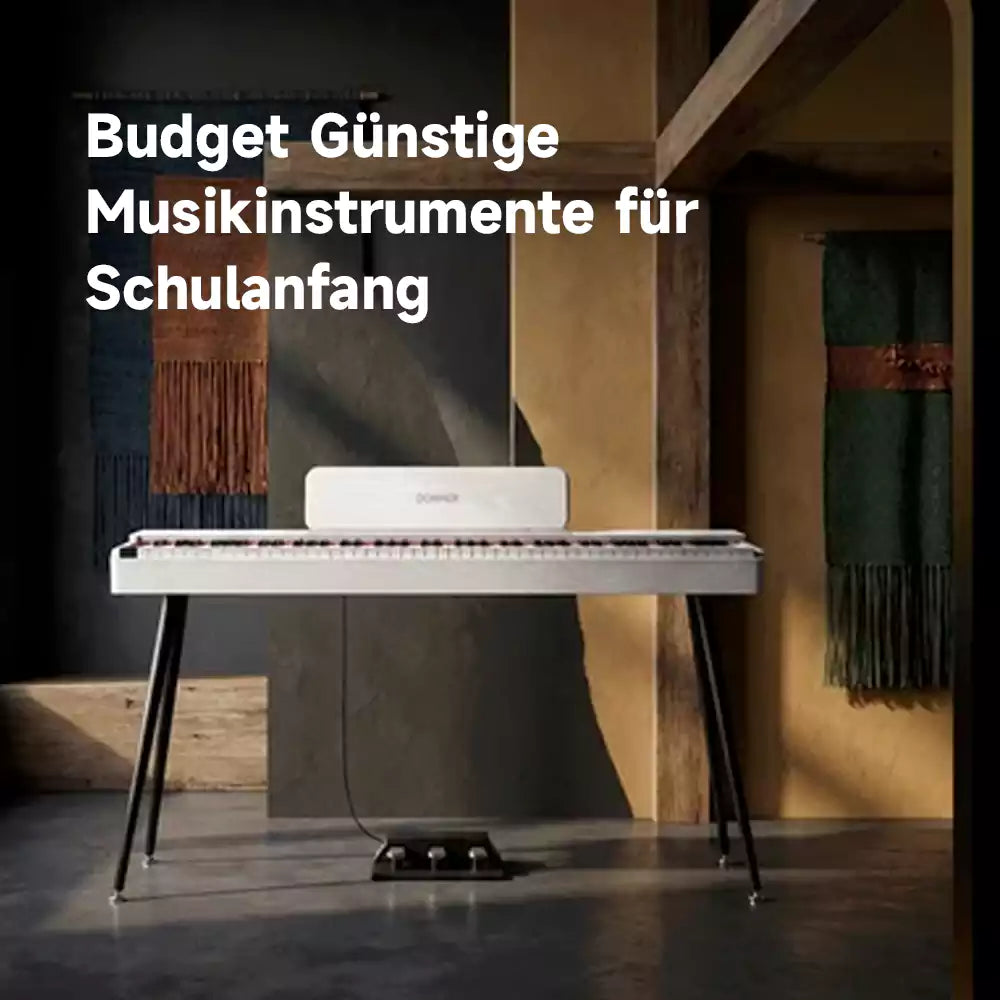 Budget Günstige Musikinstrumente für Schulanfang