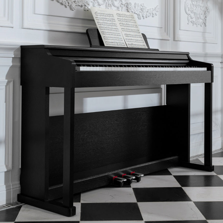 Donner DDP-100 Gewichtetes Digital Piano-Schwarz##