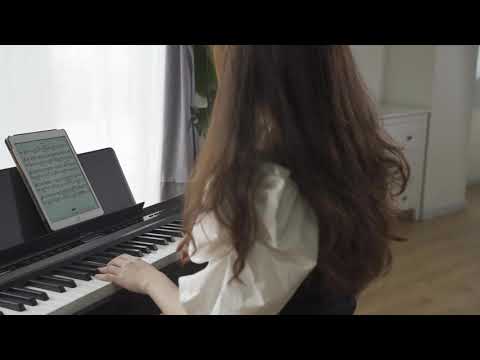 Donner DEP-20 Digital Piano mit Hammermechanik