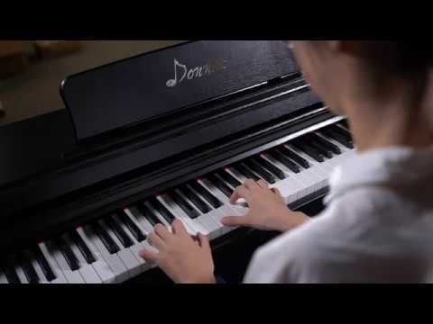 Donner DDP-100 Gewichtetes Digital Piano