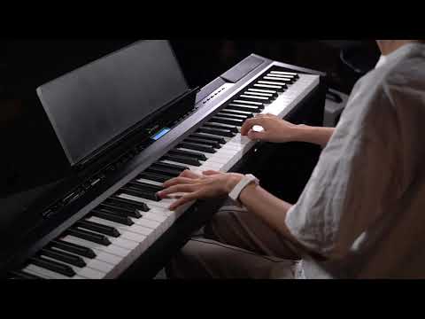 Donner DEP-20 Digital Piano mit Hammermechanik